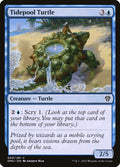 Tidepool Turtle